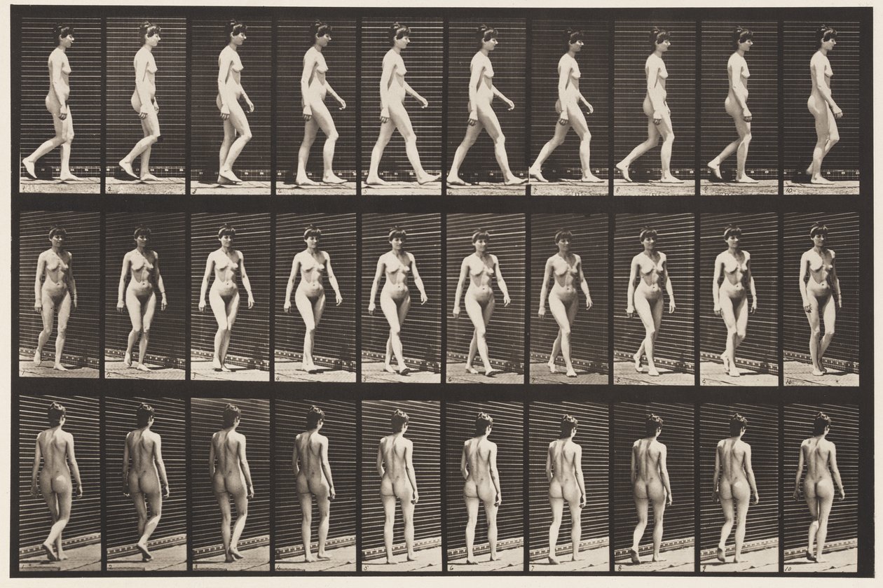 Levy 16. Kävely, 1872-1885 tekijältä Eadweard Muybridge