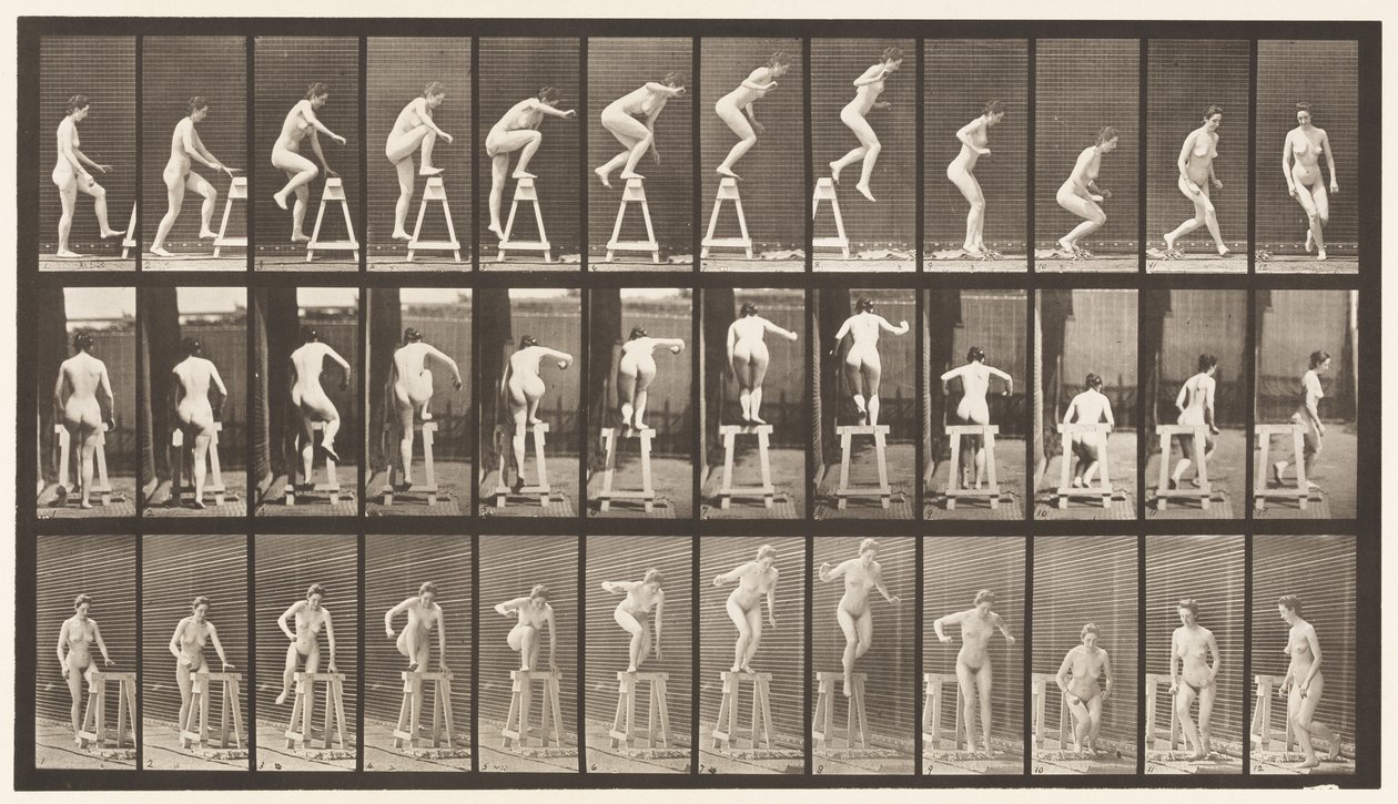 Levy 171. Pukkiin astuminen; Hyppy alas, kääntyy tekijältä Eadweard Muybridge