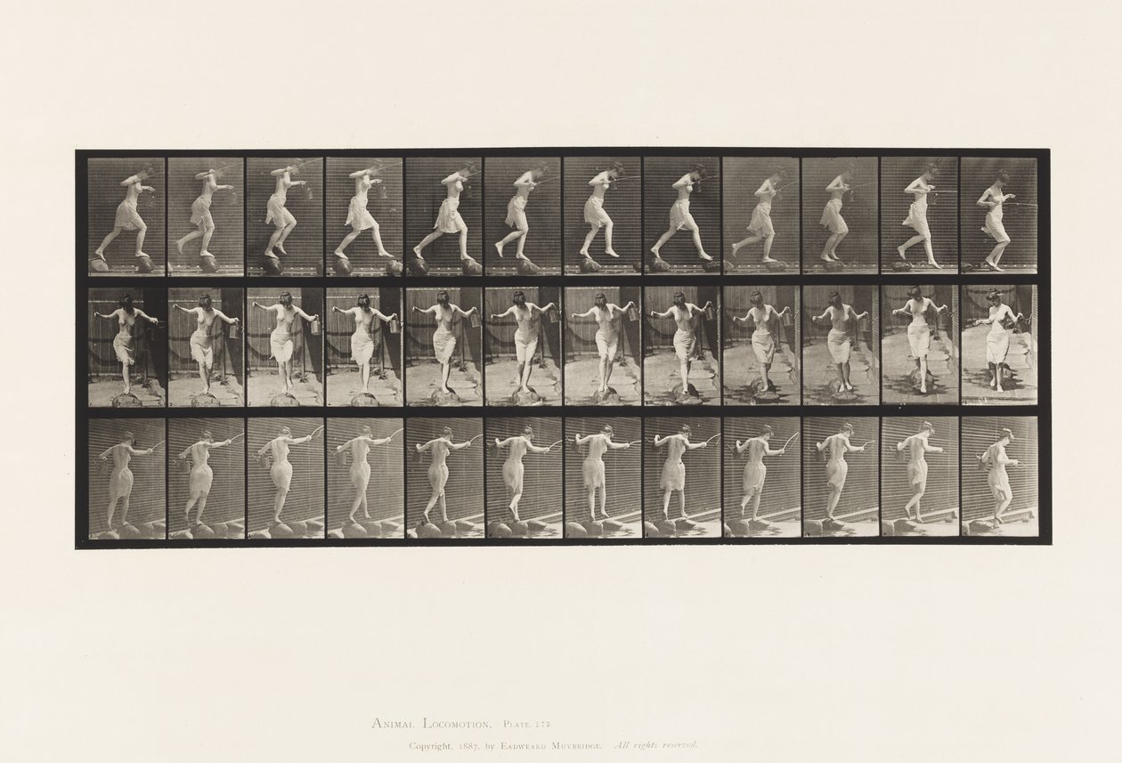 Kilpi 175. Crossing Brook on Step-Stones kalastussauvan ja kanin kanssa tekijältä Eadweard Muybridge