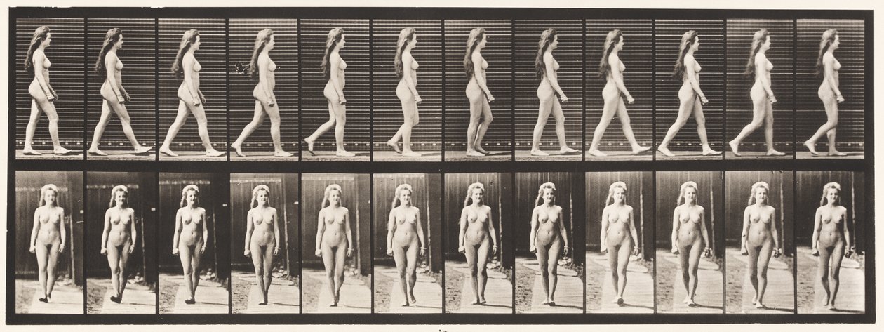 Levy 17. Kävely, 1872-1885 tekijältä Eadweard Muybridge