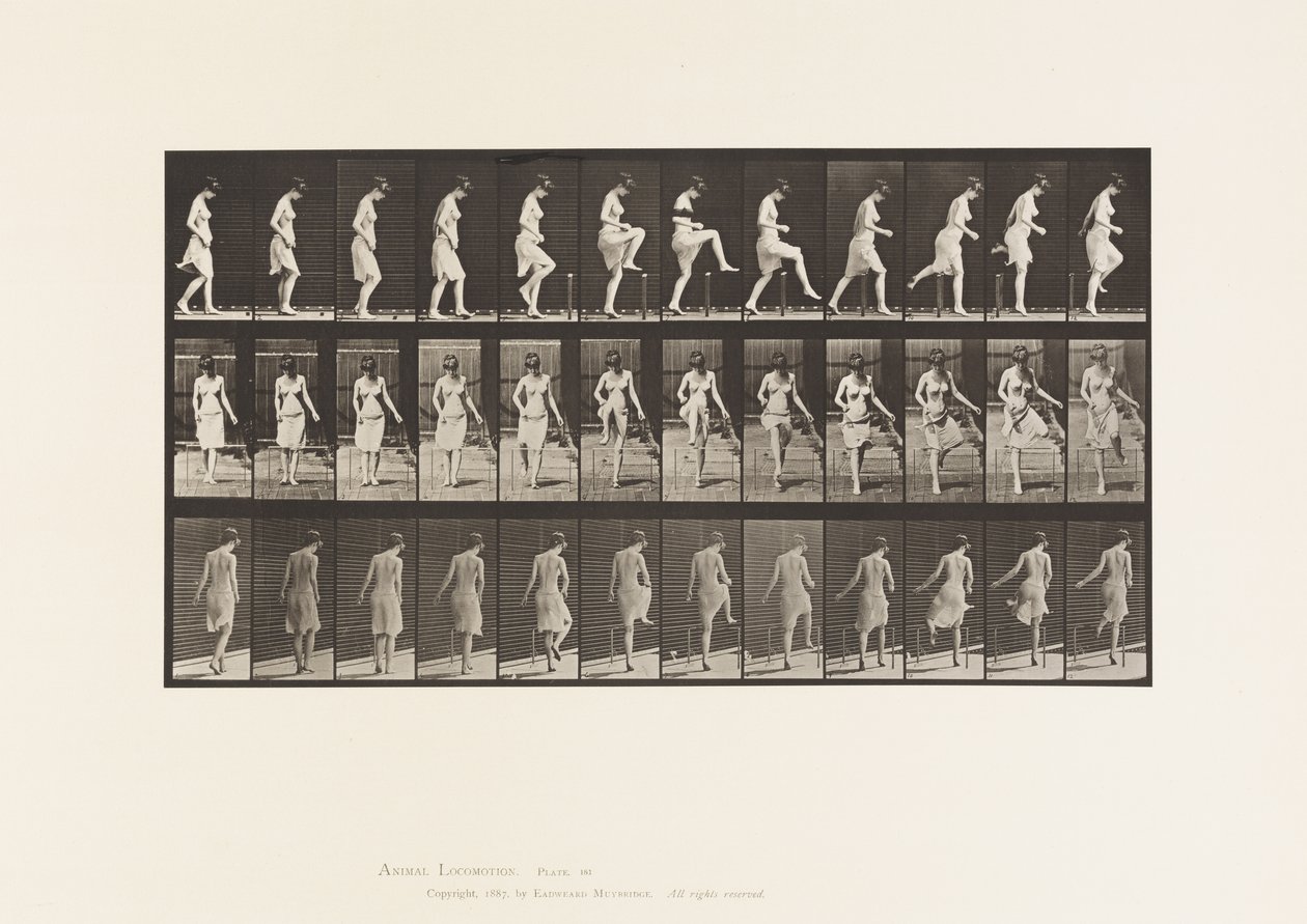 Kilpi 181. Aidan yli astuminen tekijältä Eadweard Muybridge