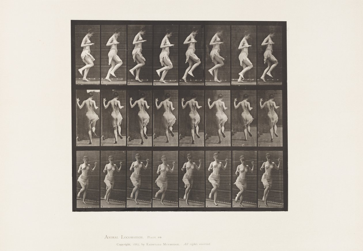 Levy 185. Hyppy vasemmalla jalalla, 1885 tekijältä Eadweard Muybridge
