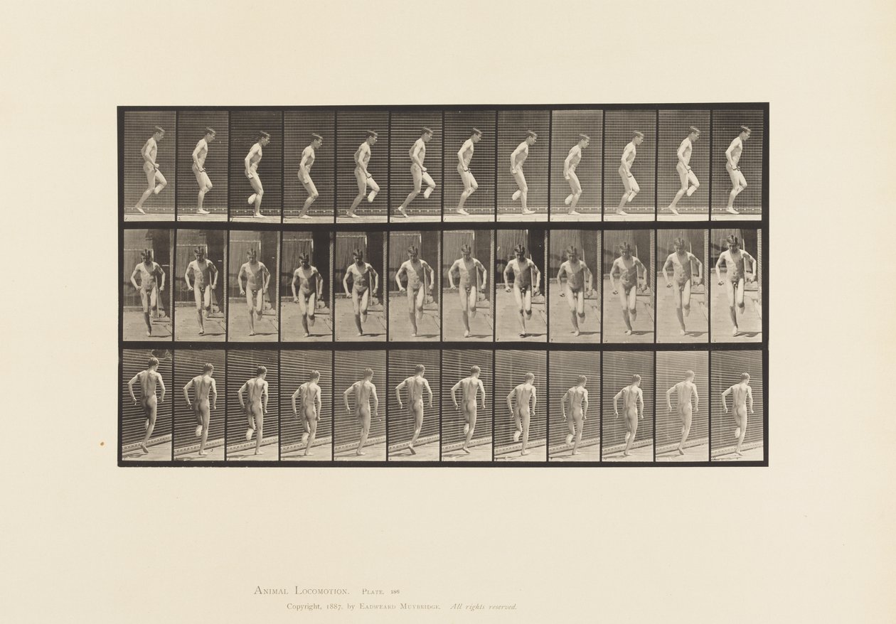 Levy 186. Hyppy oikealle jalalle, 1885 tekijältä Eadweard Muybridge