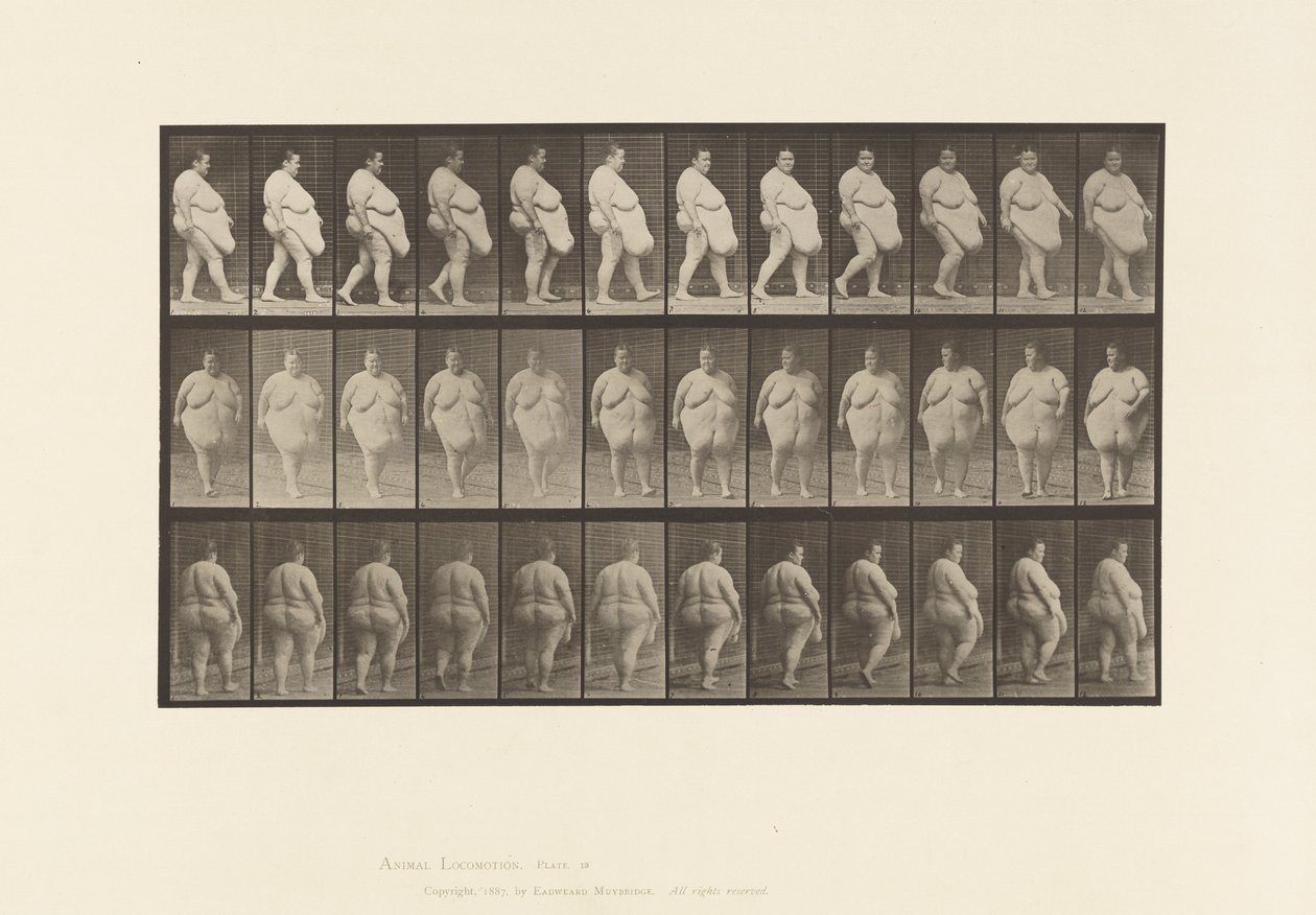 Levy 19. Kävely, alkaa kääntyä tekijältä Eadweard Muybridge