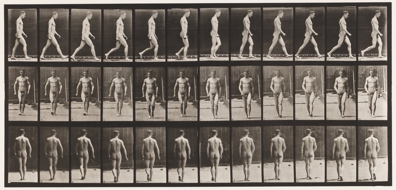 Lauta 1. Kävely tekijältä Eadweard Muybridge