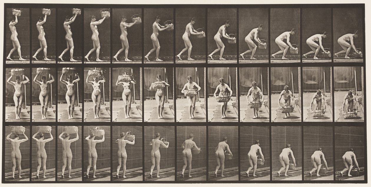 Lauta 201. 12-lb:n korin ottaminen päästä, laittaminen maahan, 1872-1885 tekijältä Eadweard Muybridge