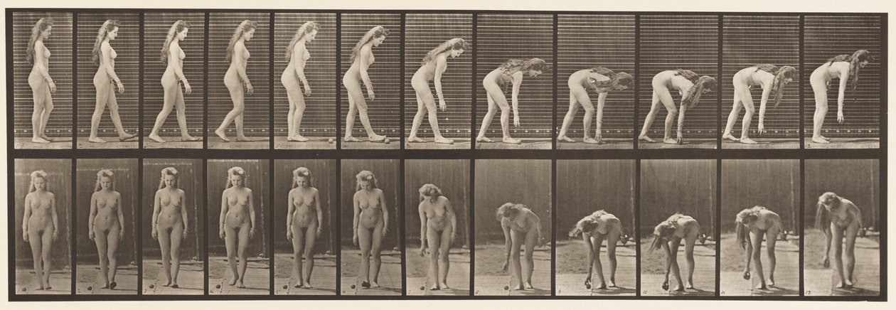 Lauta 204. Pysähtyminen poimimaan palloa tekijältä Eadweard Muybridge