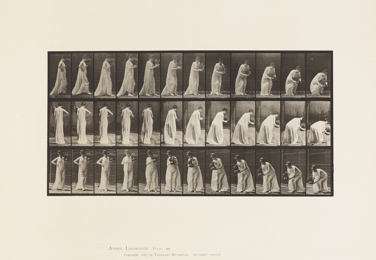 Lauta 205. Kanto ja kumartuminen maljakon kanssa, 1885 tekijältä Eadweard Muybridge