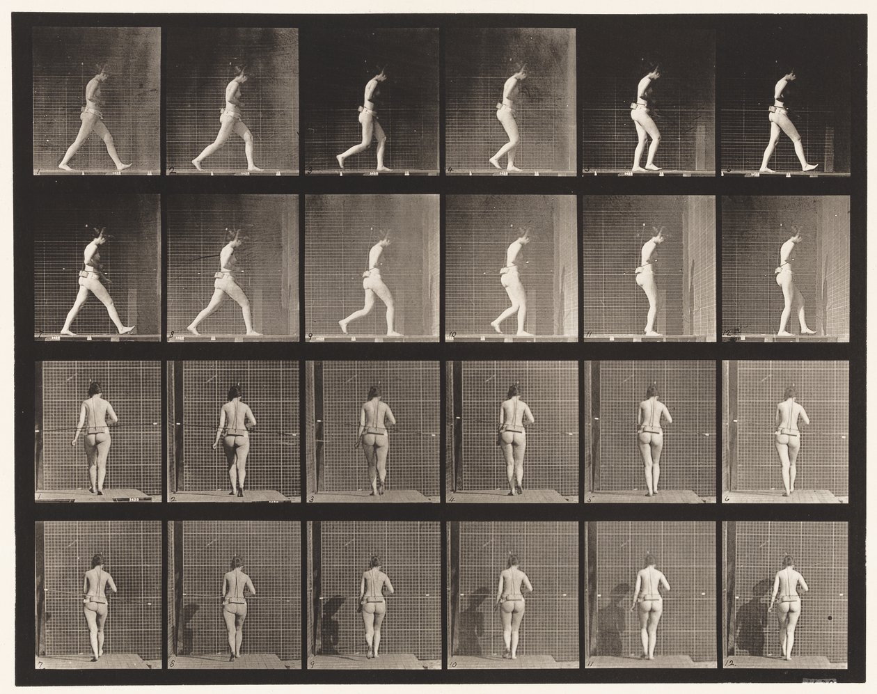 Levy 20. Kävely, oikea kyynärpää koukussa tekijältä Eadweard Muybridge