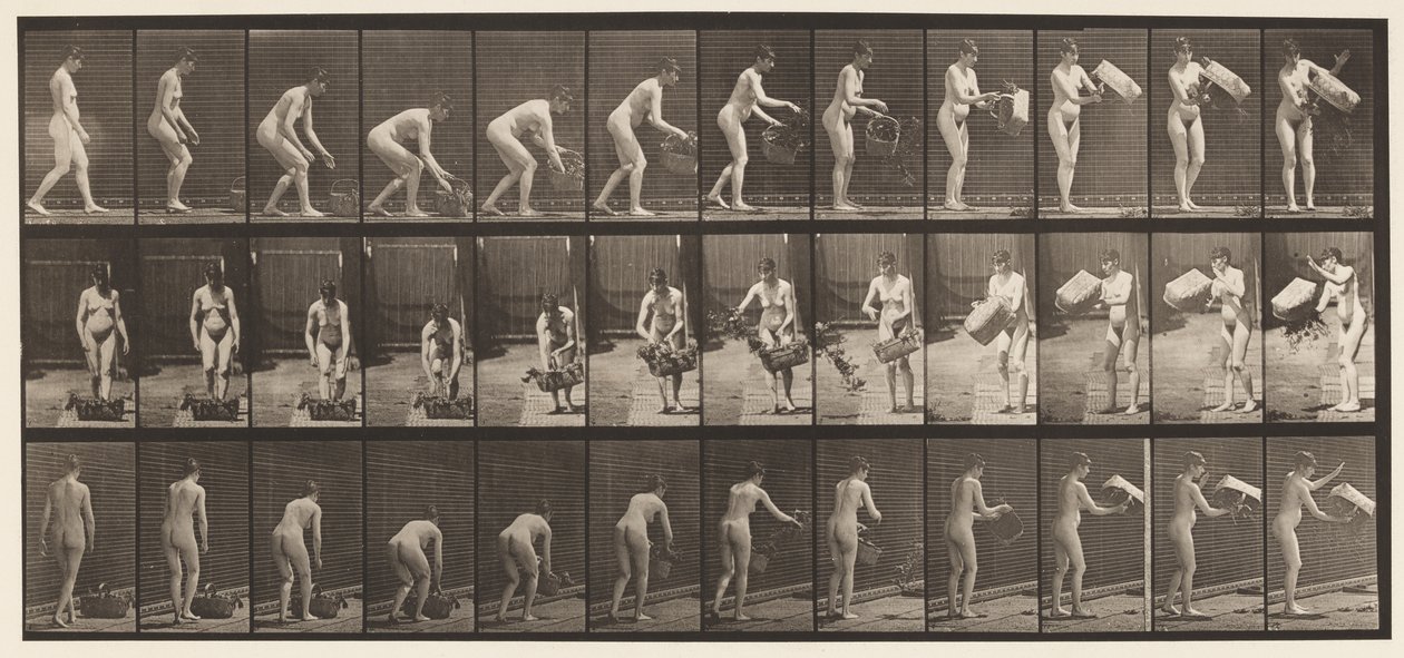 Levy 213. Nosto- ja tyhjennyskori tekijältä Eadweard Muybridge
