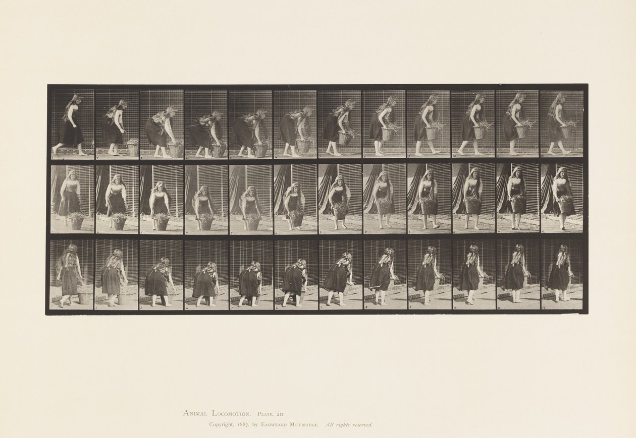 Lauta 217. Kumartuminen, nostaminen ja kantaminen 30 lb:n kori, 1885 tekijältä Eadweard Muybridge