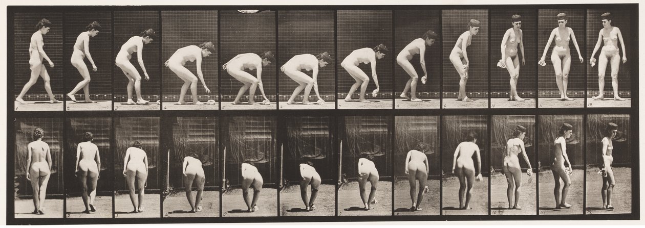 Levy 220. Taivuttaminen ja nosto Liina ja kääntyminen tekijältä Eadweard Muybridge