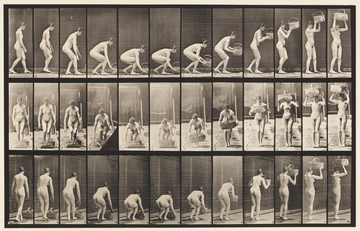 Levy 221. Kumartaminen ja 12 lb:n korin nostaminen päähän tekijältä Eadweard Muybridge