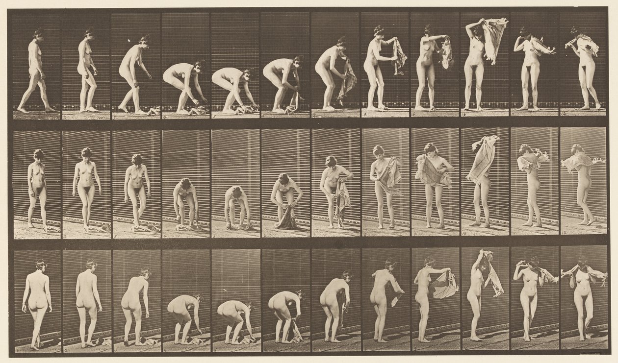 Levy 227. Nostokangas maasta,, 1872-1885 tekijältä Eadweard Muybridge