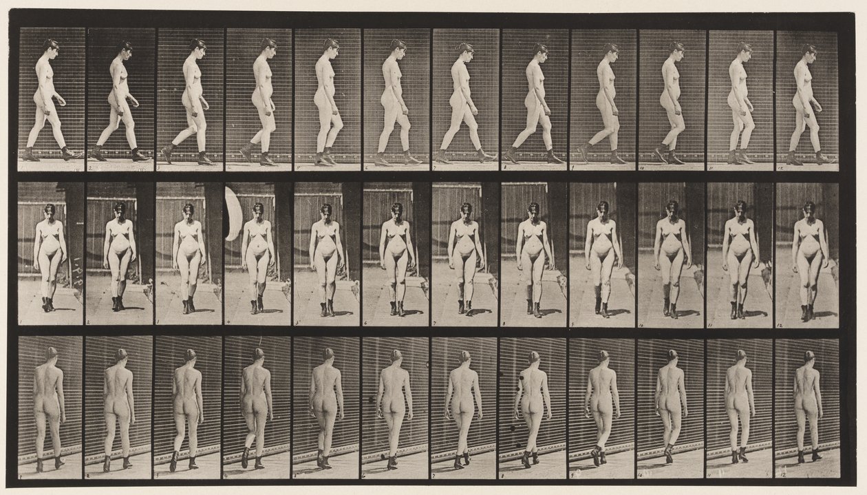 Levy 22. Kävely, korkokengät jalassa, 1872-1885 tekijältä Eadweard Muybridge