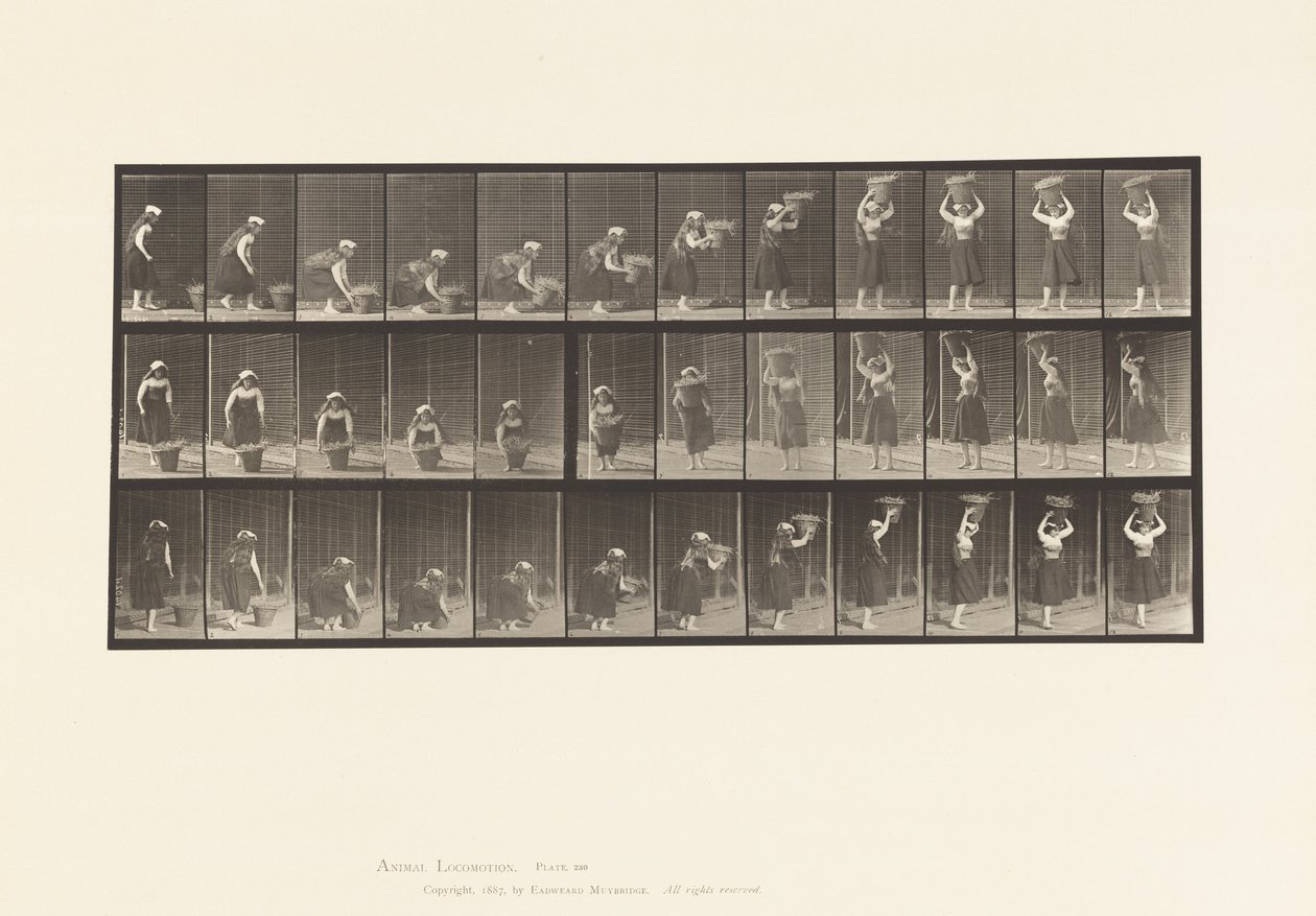 Levy 230. 30 lb:n korin nostaminen maasta päähän, kääntäminen, 1885 tekijältä Eadweard Muybridge