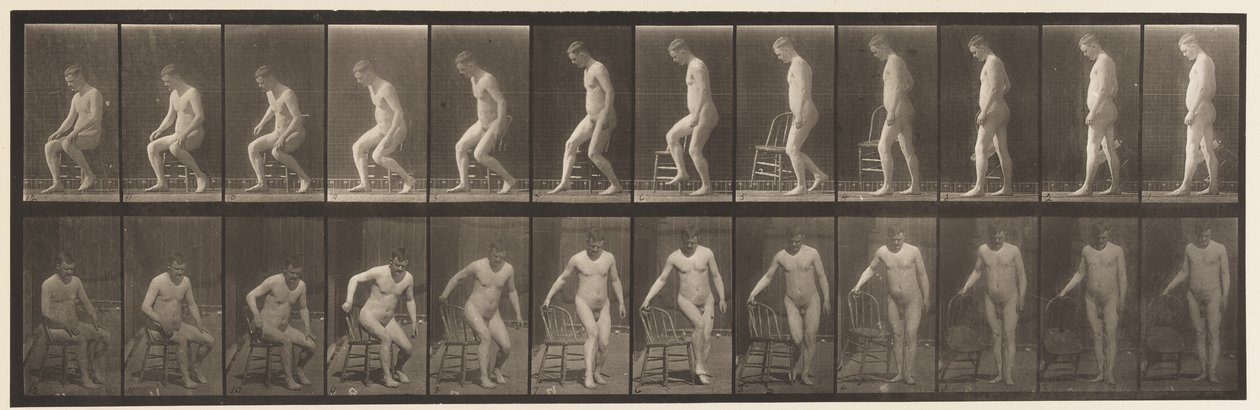 Levy 236. Diairin asettaminen ja istuminen, 1885 tekijältä Eadweard Muybridge