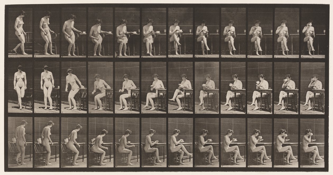 Lautas 238. Istuminen tuolilla, jalat ristissä, teekupista juominen tekijältä Eadweard Muybridge