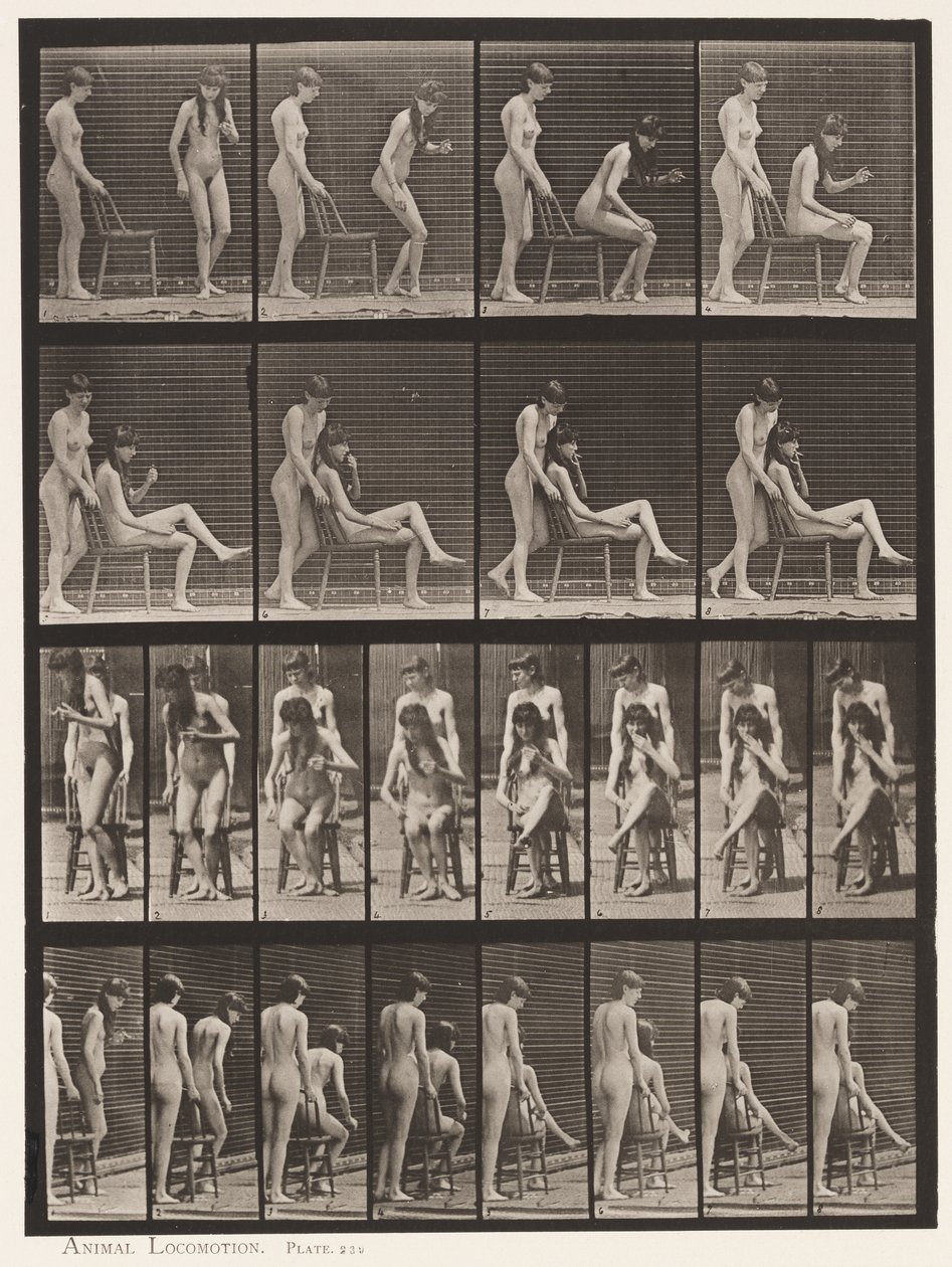 Kilpi 239. Kaksi mallia; toinen seisoo, toinen istuu, jalat ristissä tekijältä Eadweard Muybridge