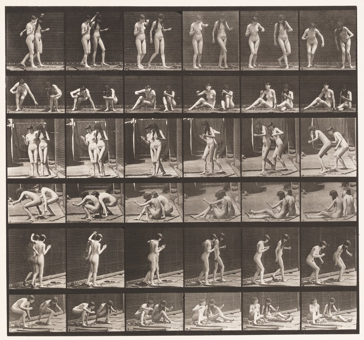 Kilpi 245. Kaksi mallia, jotka pyörivät maassa istuen tekijältä Eadweard Muybridge