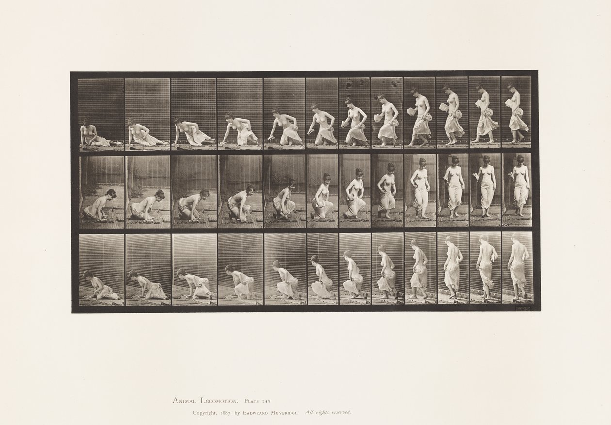 Levy 248. Istuminen maahan tekijältä Eadweard Muybridge
