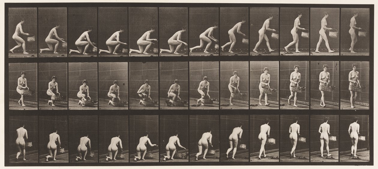 Levy 251. Polvistuminen vasemmalla polvilla, kori vasemmassa kädessä ja nousu, 1872-1885 tekijältä Eadweard Muybridge