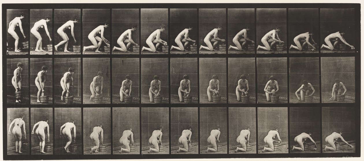 Levy 252. Polvistus oikealla polvella ja lattian hankaus, 1872-1885 tekijältä Eadweard Muybridge