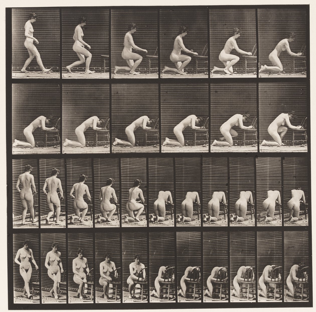 Lauta 254. Polvistus, kyynärpäät tuolissa, kädet ristissä tekijältä Eadweard Muybridge