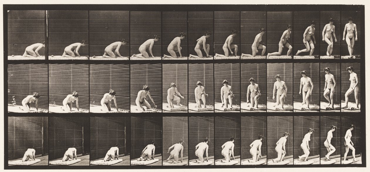 Levy 255. Syntyy polvistumisesta ja kääntymisestä tekijältä Eadweard Muybridge