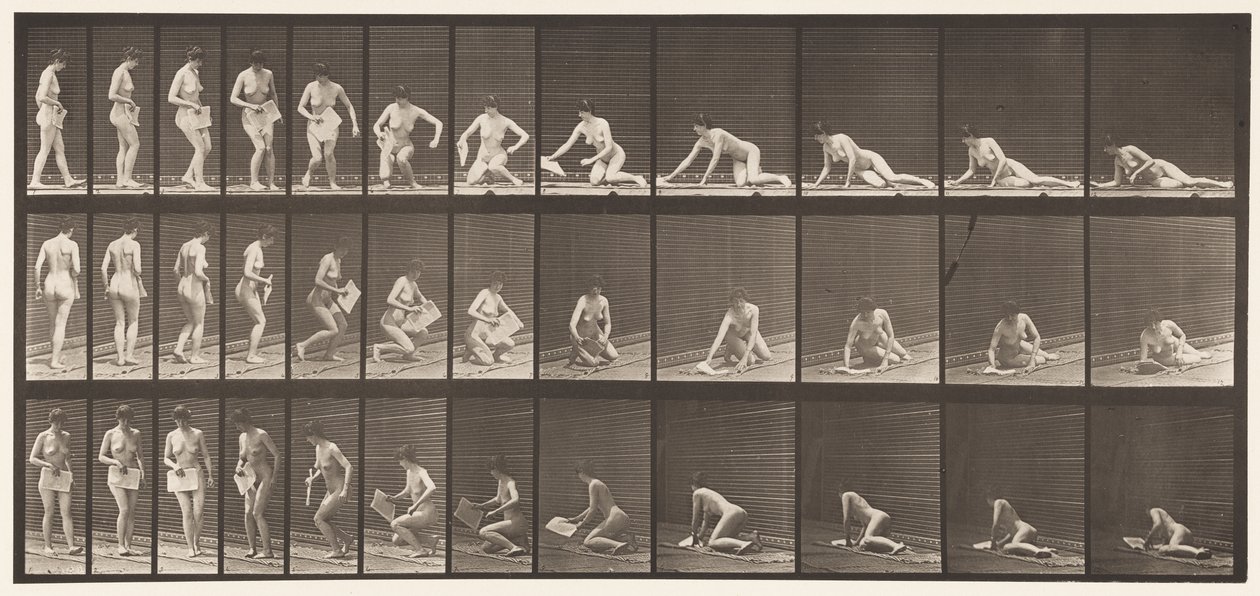 Levy 256. Makaa maassa ja lukemassa, 1872-1885 tekijältä Eadweard Muybridge