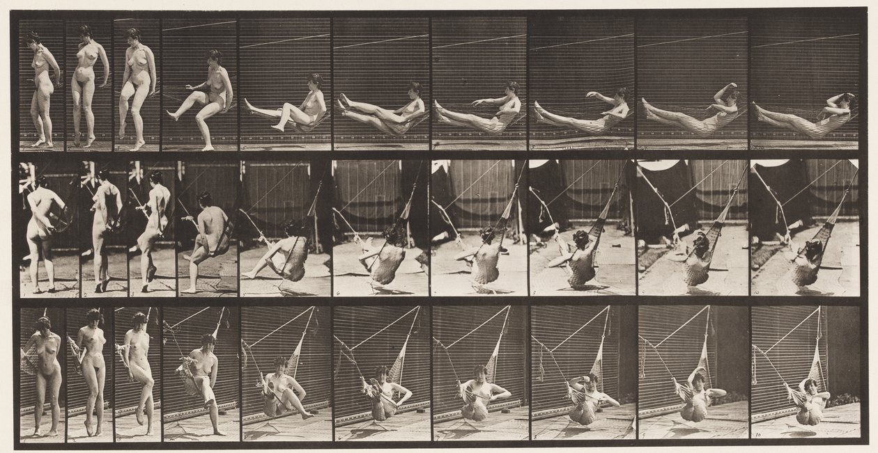 Levy 261. Pääsy riippumattoon, 1872-1885 tekijältä Eadweard Muybridge