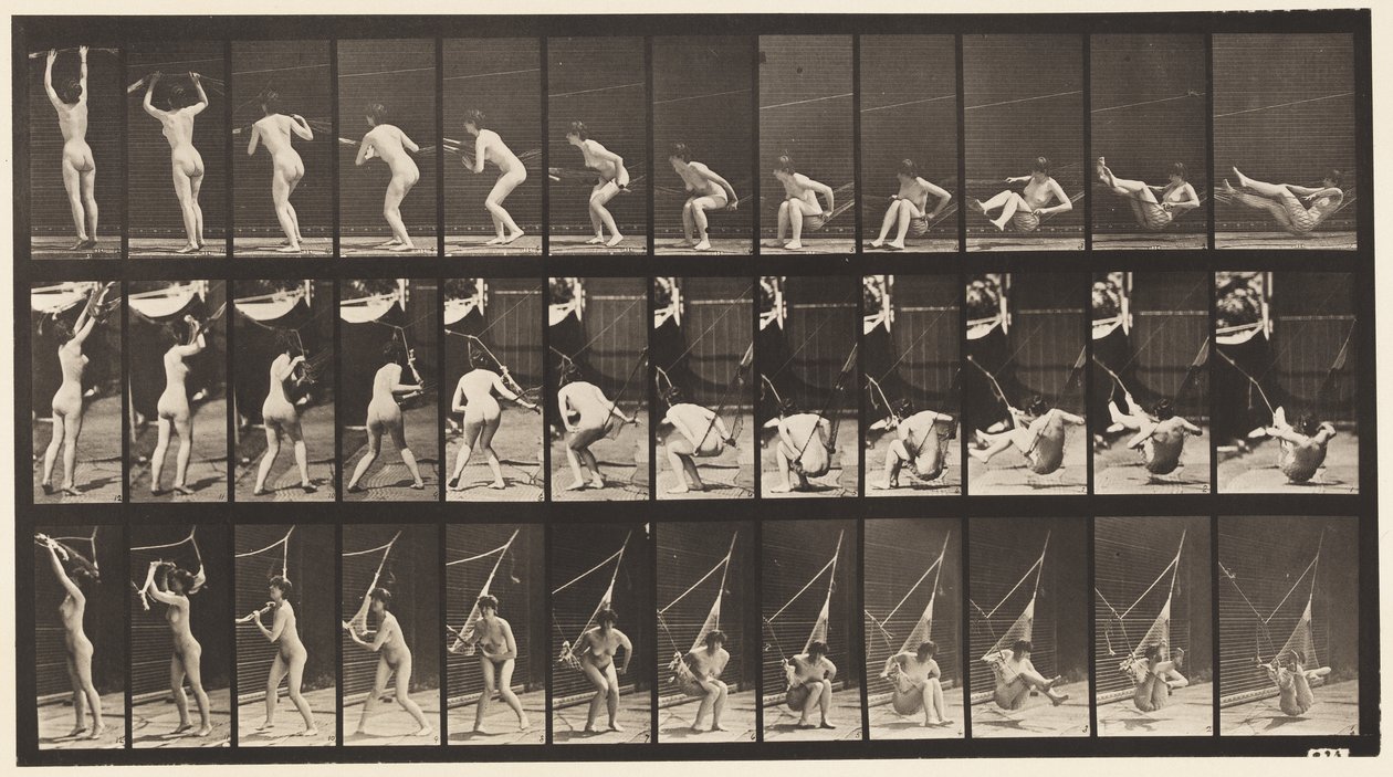 Levy 262. Riippumatosta poistuminen tekijältä Eadweard Muybridge