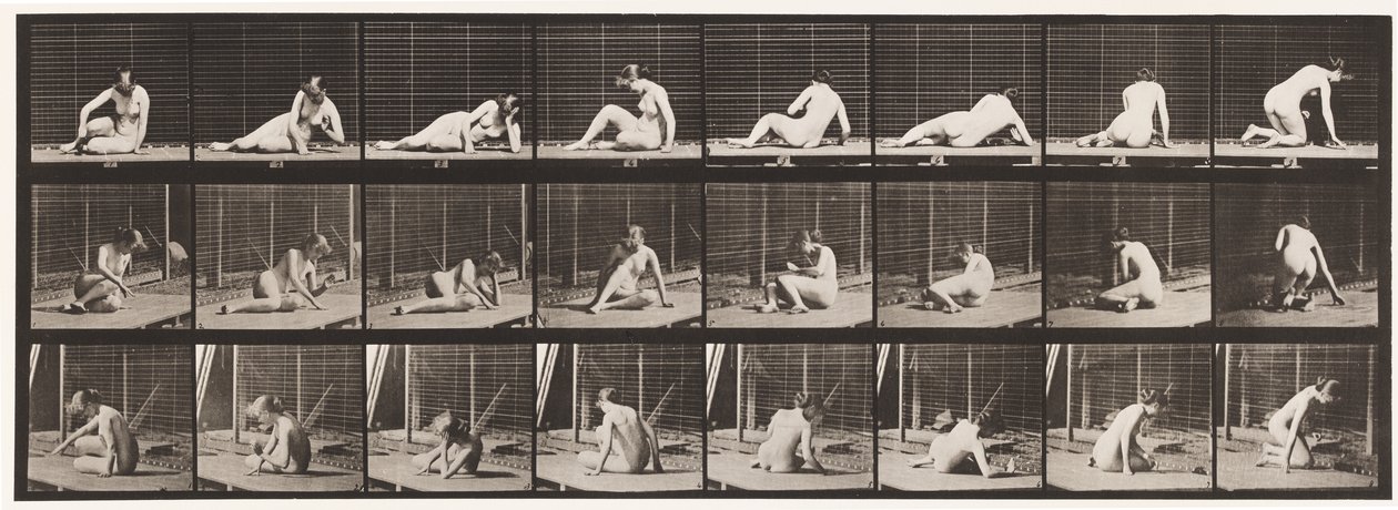 Levy 266. Kääntyminen ja asennon muuttaminen ollessaan edelleen maassa tekijältä Eadweard Muybridge