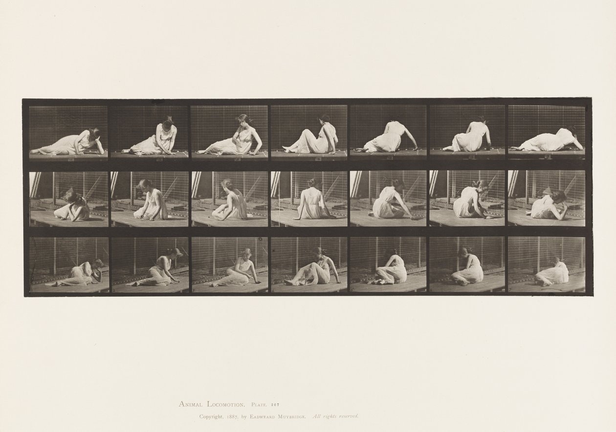Kilpi 267. Kääntyminen ja asennon muuttaminen maassa, 1885 tekijältä Eadweard Muybridge