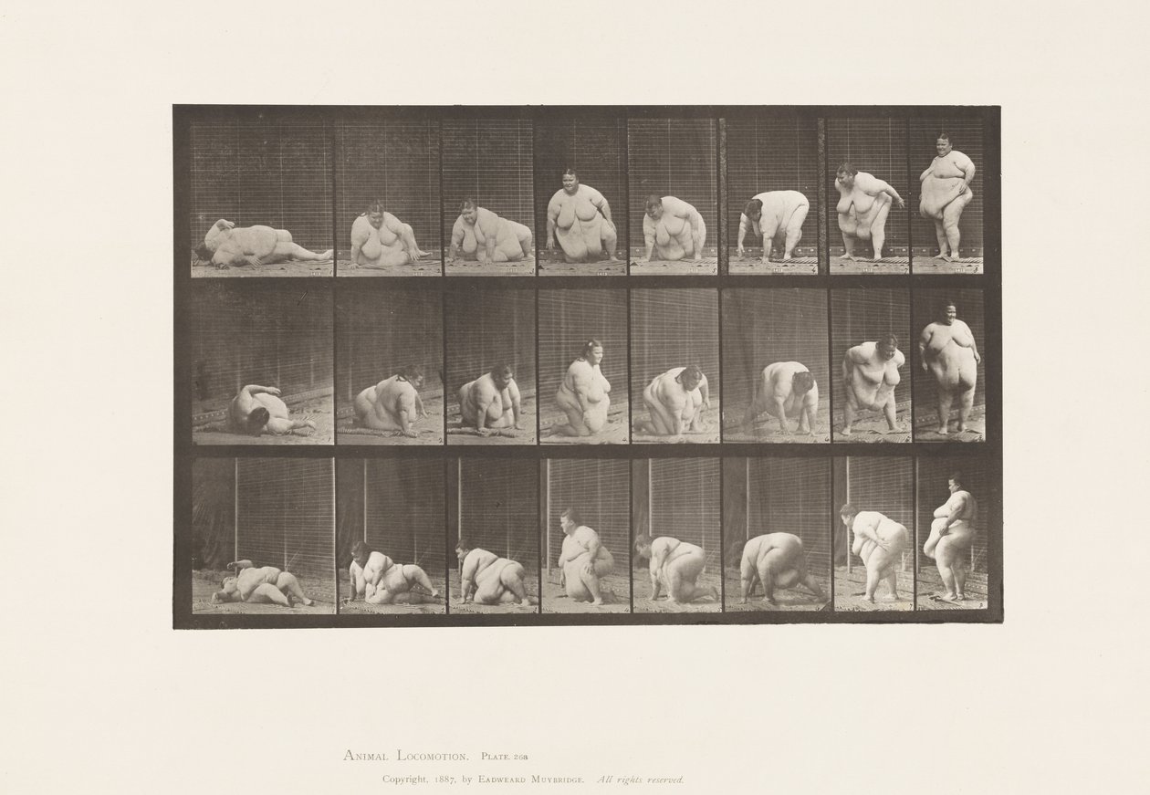 Levy 268. Nousu maasta, 1885 tekijältä Eadweard Muybridge
