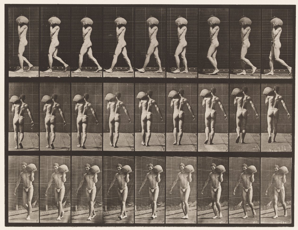 Levy 26. Kävely, 75 lb:n kiven kantaminen vasemmalla olkapäällä tekijältä Eadweard Muybridge