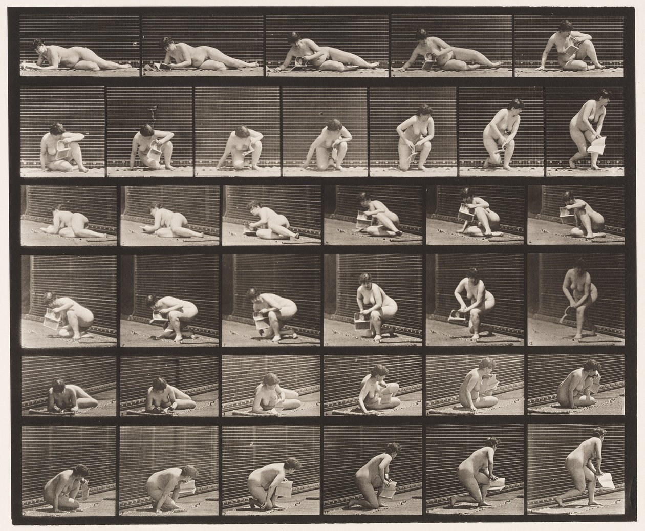 Levy 270. Maasta nouseva lehtinen vasemmassa kädessä tekijältä Eadweard Muybridge