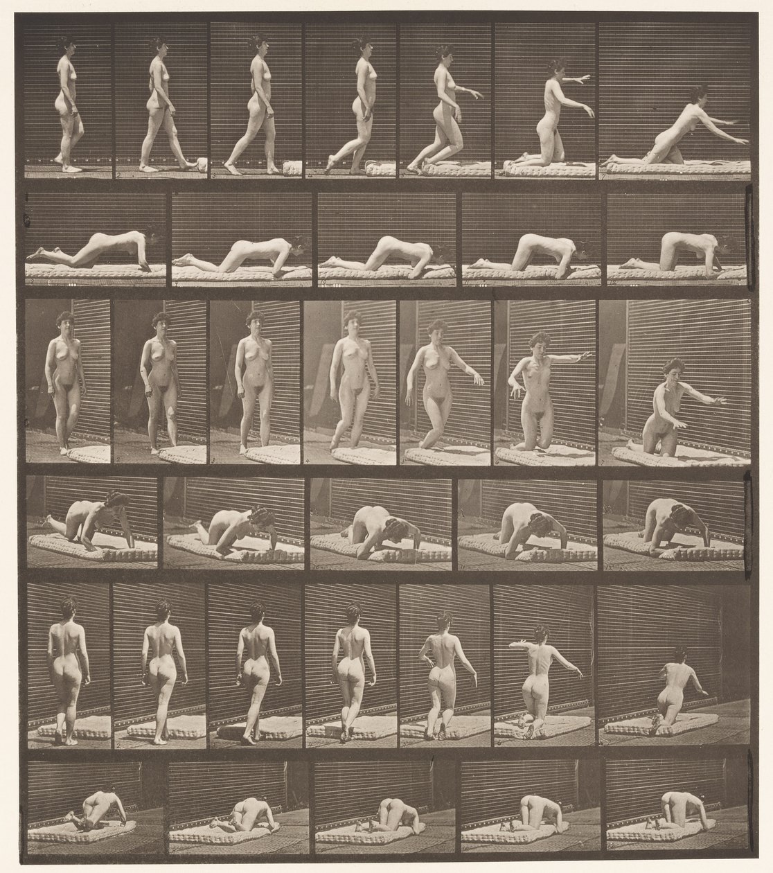 Levy 272. Kompastuminen ja kaatuminen maassa tekijältä Eadweard Muybridge