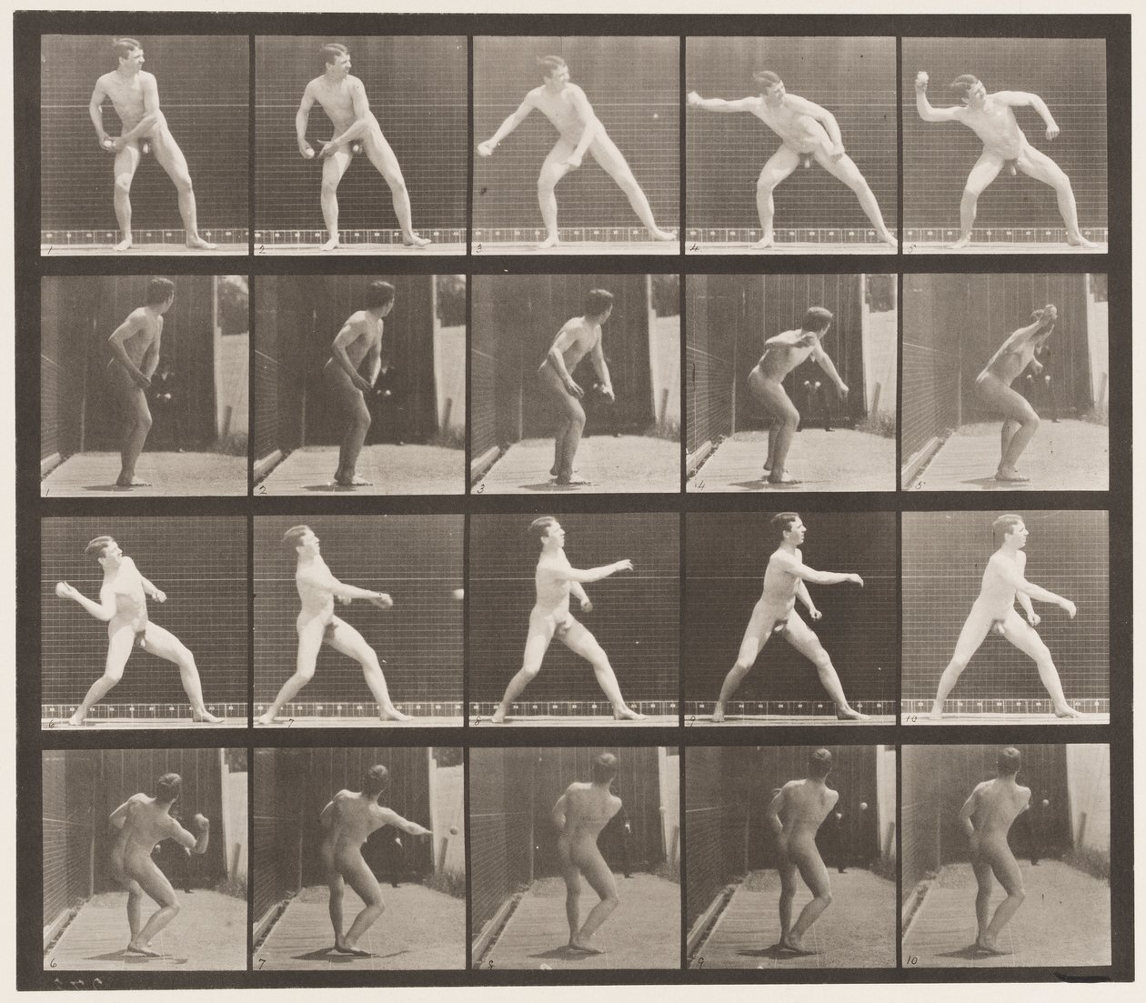 Lauta 273. Peruspallo; Pikeys tekijältä Eadweard Muybridge