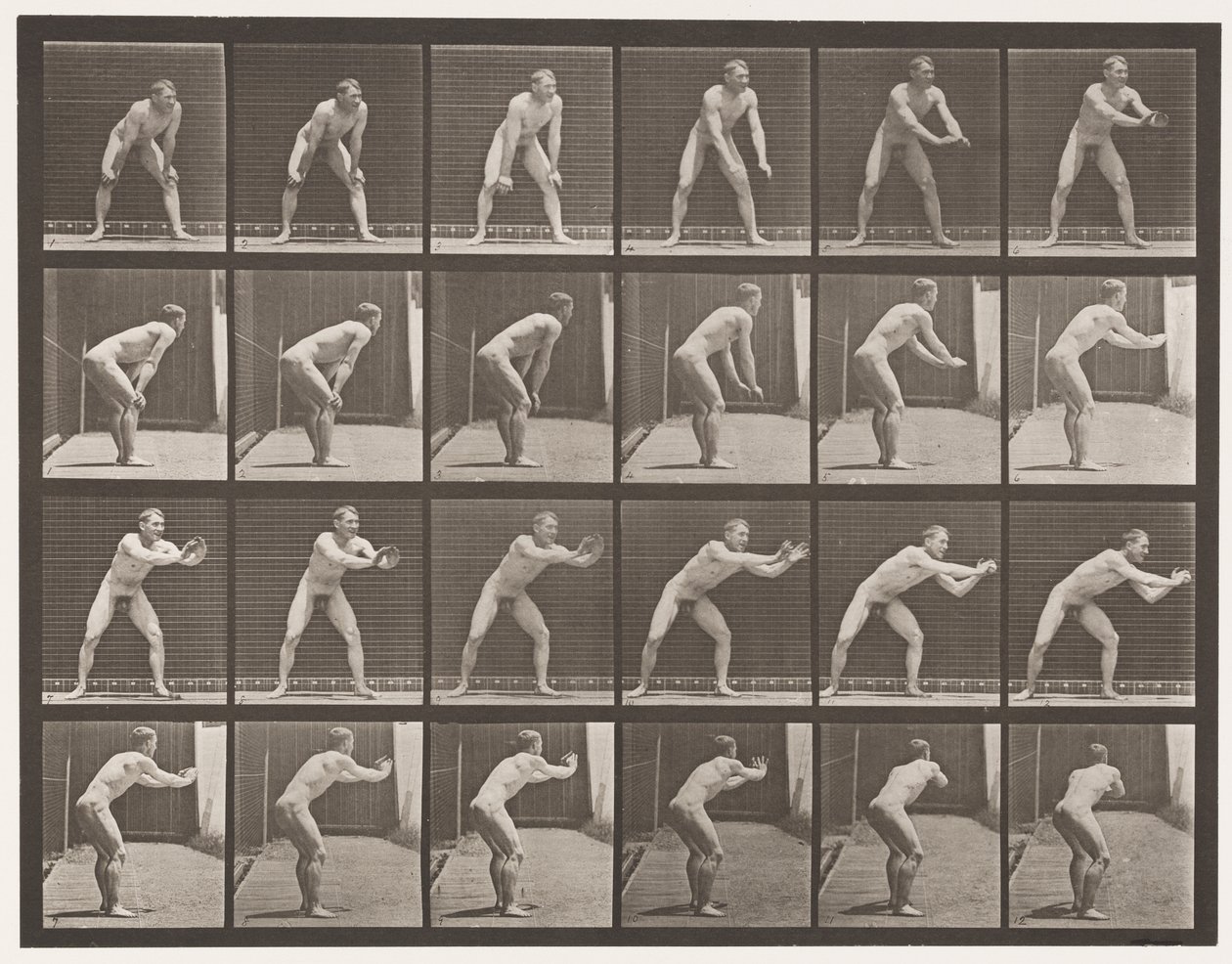 Lauta 280. Peruspallo; Kiinnitys, 1885 tekijältä Eadweard Muybridge