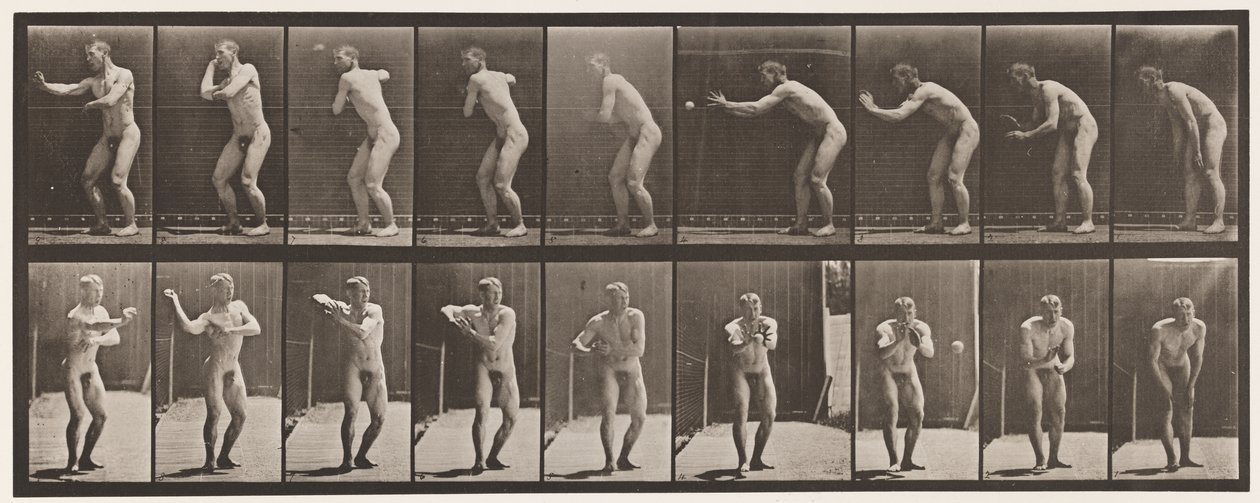 Lauta 281. Peruspallo; Sieppaus ja heittäminen tekijältä Eadweard Muybridge