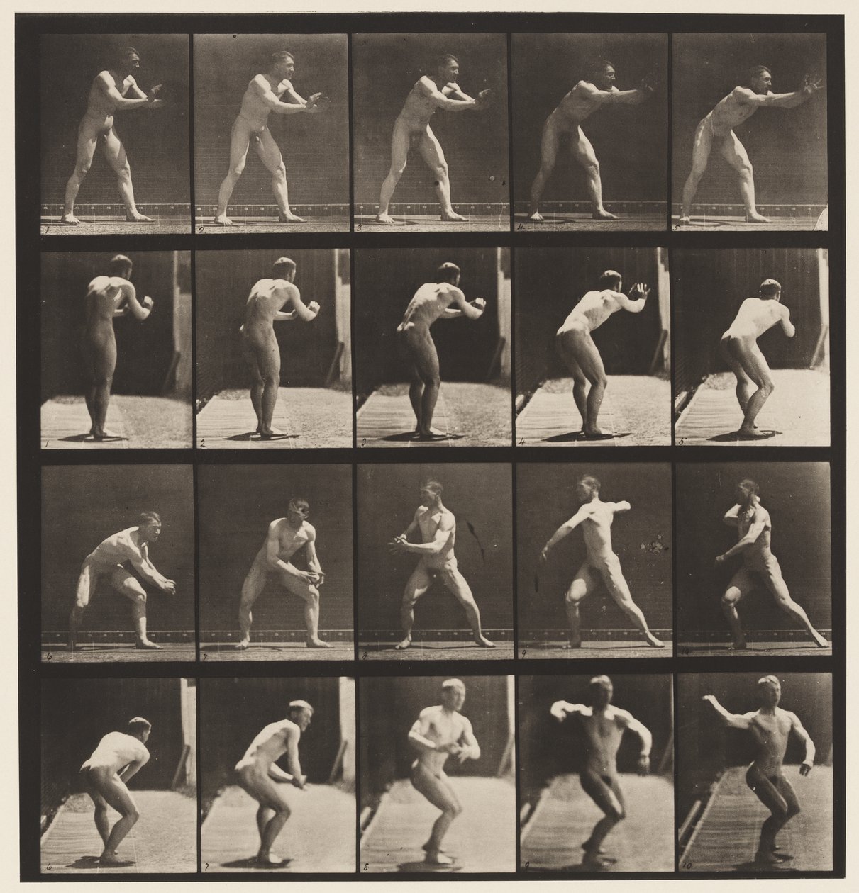 Lauta 282. Peruspallo; Sieppaus ja heittäminen, 1885 tekijältä Eadweard Muybridge