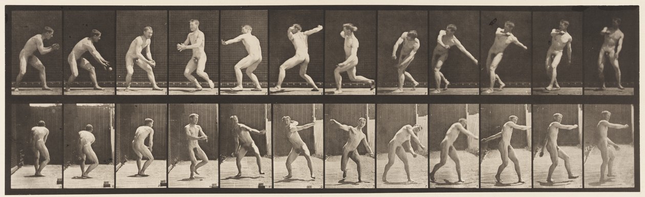 Lauta 284. Peruspallo; Sieppaus ja heittäminen, 1885 tekijältä Eadweard Muybridge