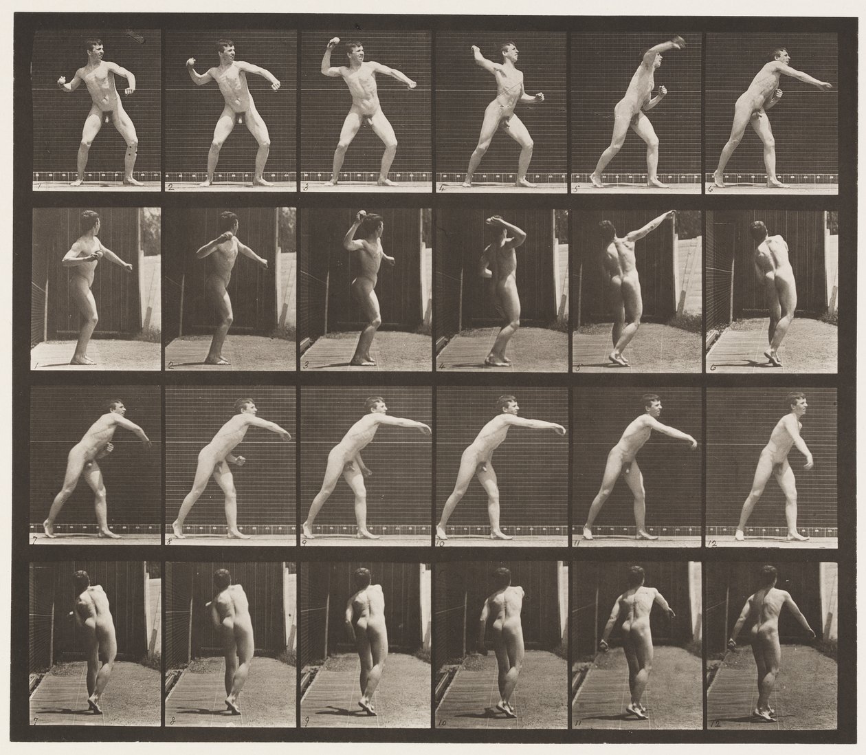 Lauta 286. Peruspallo; Heittää tekijältä Eadweard Muybridge