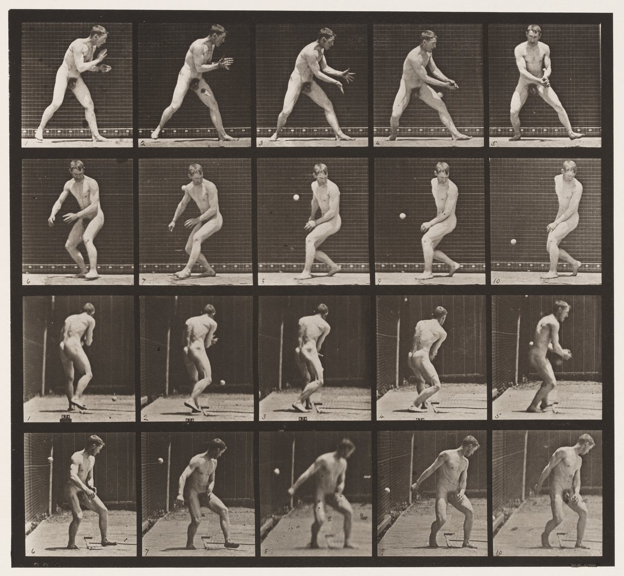 Lauta 288. Baseball; Virhe tekijältä Eadweard Muybridge