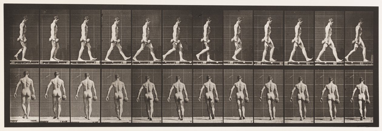 Levy 28. Kävely, 50 lb painoinen käsipaino oikeassa kädessä, 1872-1885 tekijältä Eadweard Muybridge