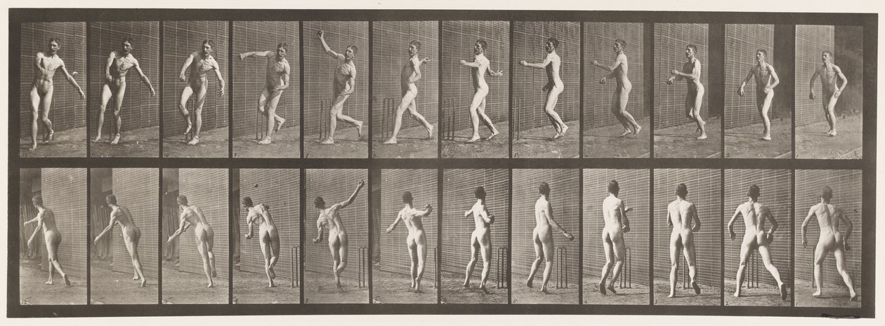 Lauta 290. Kriketti; Over Arm Bowling, 1885 tekijältä Eadweard Muybridge