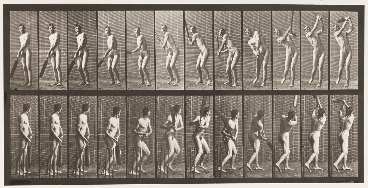 Lauta 291. Kriketti; Lyöminen; Ajaa, 1885 tekijältä Eadweard Muybridge