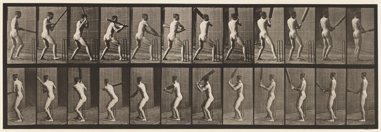Lauta 292. Kriketti; Lyöminen; Takaisin ulos, 1885 tekijältä Eadweard Muybridge