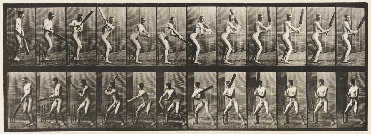 Lauta 293. Kriketti; Lyöminen; Selkäleikkaus, 1885 tekijältä Eadweard Muybridge